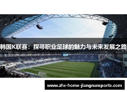 韩国K联赛：探寻职业足球的魅力与未来发展之路